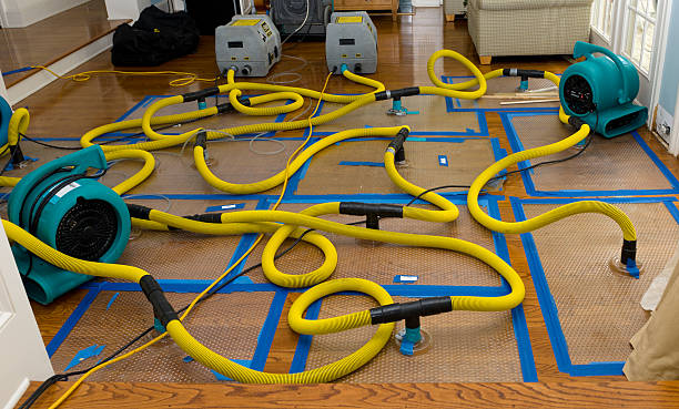 Professional Water Extraction technician working in Victoria, MN
